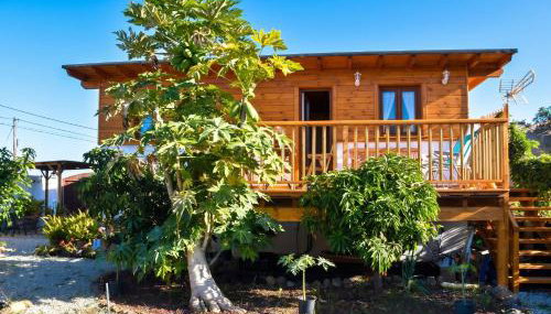 Charming house in Icod de los Vinos with garden 70 m² - Foto 4