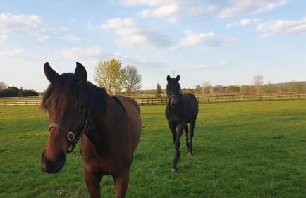 Le Château de Chambois - Confidentiel - Familles - Séminaires - Foto 30