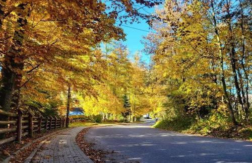 Apartament TatraVika - Photo 47