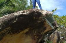 Chacara Suíça sergipana - Photo 11