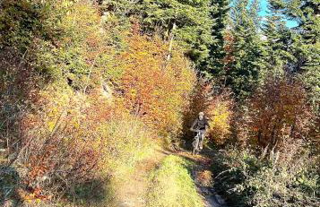 Przysiółek Flądrówka - Dom na odludziu z widokiem na Gorce i Tatry - Foto 20