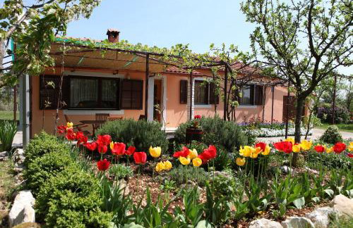 Villa Fragola - Holiday house with large garden - Photo 18
