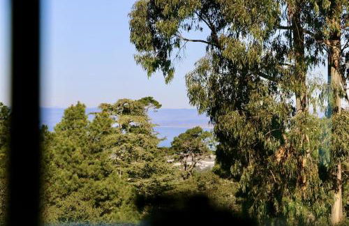 Romantic Carmel Cottage Ocean Country Views - Photo 10