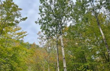 Rustic Cabin in Maine Woods-The Beech - Foto 3