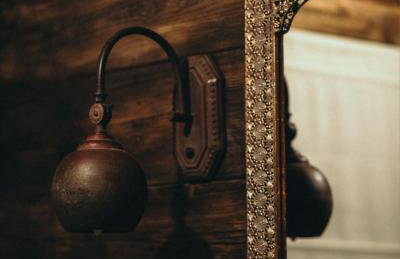 Mech i brzoza - Foto 11