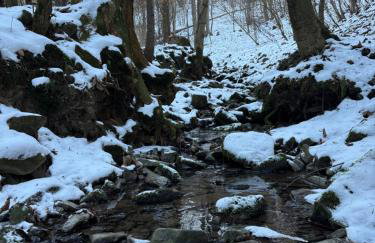 Dom w górach Zacisze lasu - Foto 19