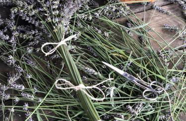 Casa "Le Rondinelle" - Foto 53