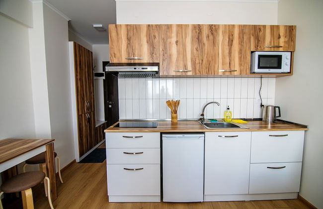 Gogo Apartments New Gudauri - Foto 27