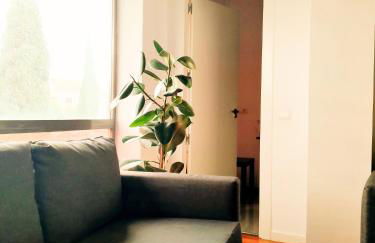 TOLETUM low cost LOFTS diáfanos o 2dormitorios PARKING Municipal Gratis al aire libre a 100m - Foto 13