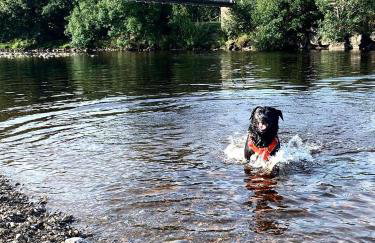 Galboly Cottage - Photo 27