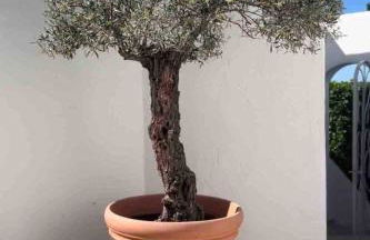 Villa with amazing sea views - Foto 32