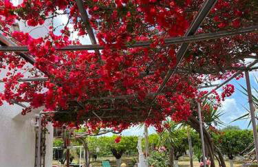 ktima_countryliving - Foto 10