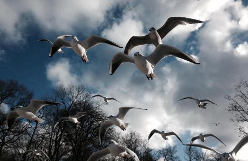 Słoneczna Przystań - Foto 50