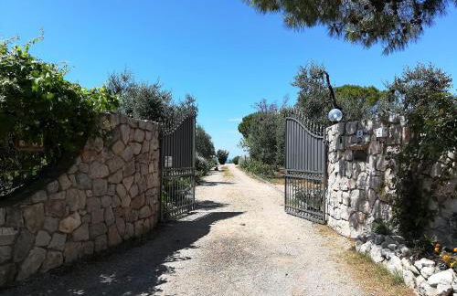 Saha tourist accommodation among olive trees and sea view - Foto 19