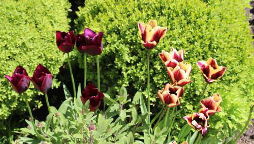 Ferienwohnung Klint 2 - Photo 2