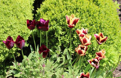 Ferienwohnung Klint 2 - Photo 2