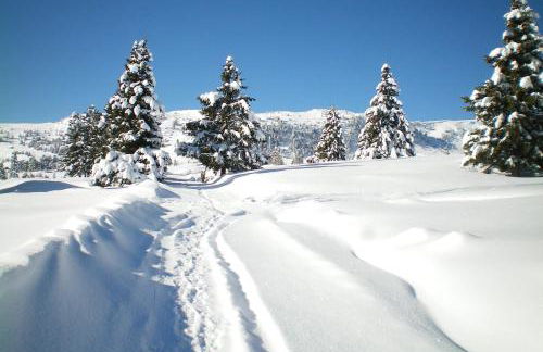 Schweiggerhof -Agriturismo- Farm Holidays - Foto 25