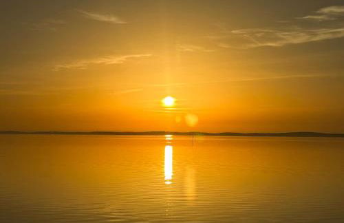 Cocon entre presqu'île du Cap Ferret et plages océanes - terrasse - 1 vélo gratuit - Foto 70