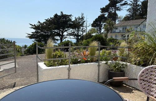 Oystercatcher - Mount Brioni - Foto 16