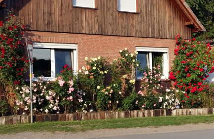 Ferienwohnung Schmitz - Foto 1