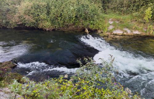 Ferienwohnung "Thermenblick - Bad Aibling" - Foto 45