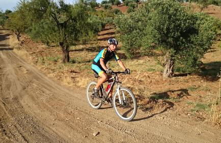 B&B Hacienda Guaro Viejo - Foto 50