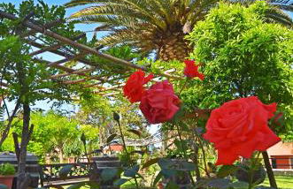 Othonas Apartments - Foto 8