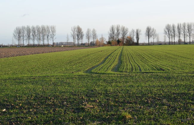 Dike House in Schoondijke Near Beaches - Foto 34