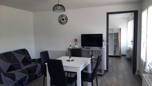 Appartement T1 bis proche centre ville - Foto 5