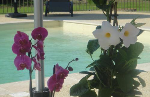 Domaine du Mas Foucray - Foto 76