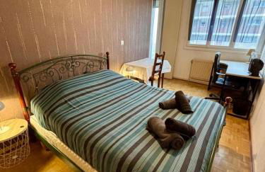 Tram 50 m, Balcon, Parking facile - Foto 4