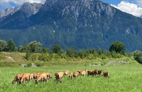 4 Star Maisonnette mit Kaiser Blick, Sauna, Schwimmbad - Foto 23