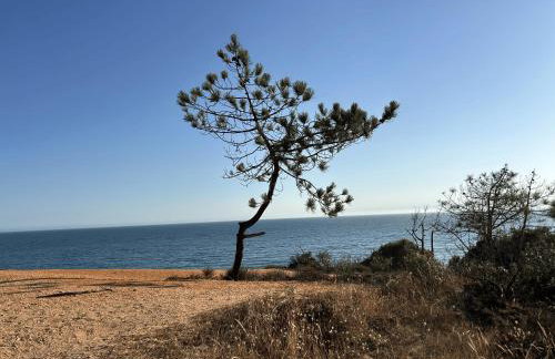 Vivenda Alfamar 2120 - 180m da praia - Foto 14