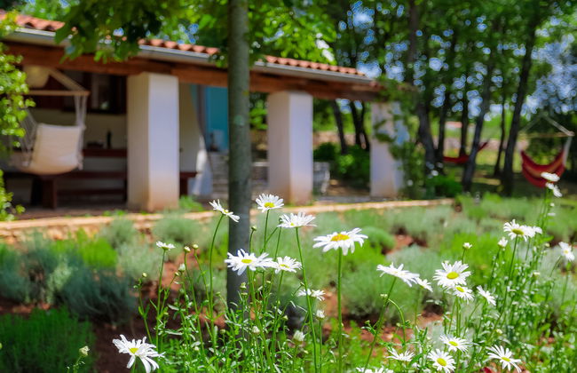 Country house D&D - Foto 25