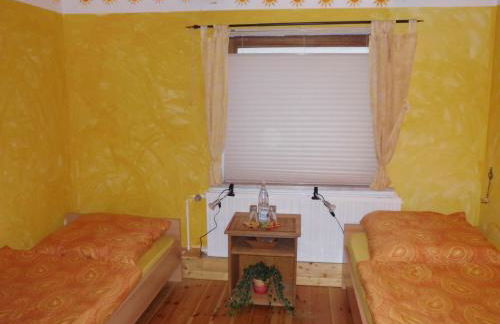 Rhumeblume - Foto 12