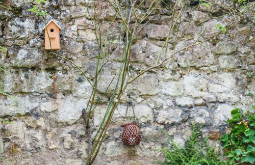 Appartement raffiné vue cathédrale, jardin, wifi - Photo 30
