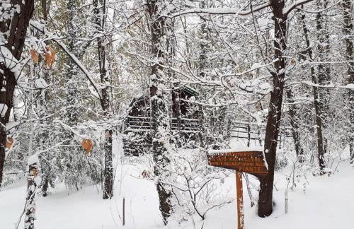 CHALET ETNA MILO - Foto 37