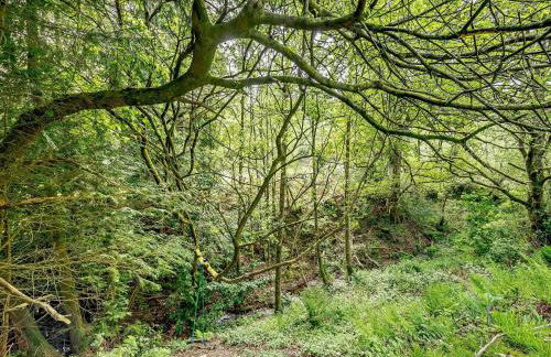 3 Bed in Cilycwm BN093 - Photo 29