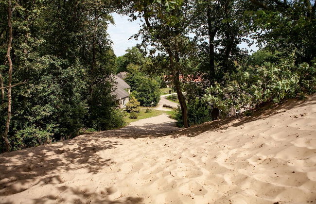 Bungalow With a Terrace at Bedafse Bergen - Foto 22