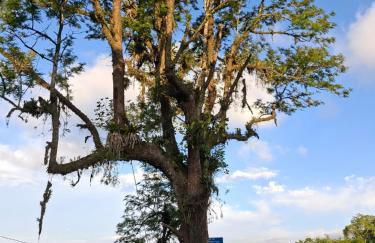 Chalé lindo e confortável! - Foto 20