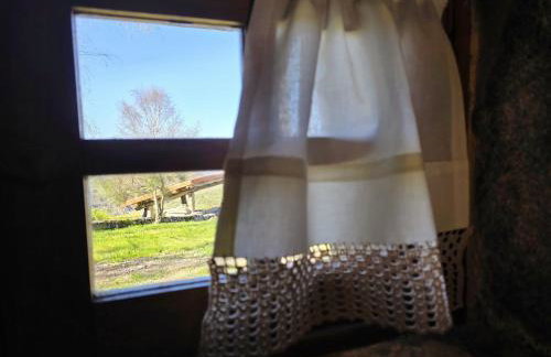 Cardenha das Formiguinhas - Foto 72