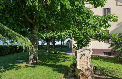 Liberty Style Villa in Marche with private pool - Foto 34