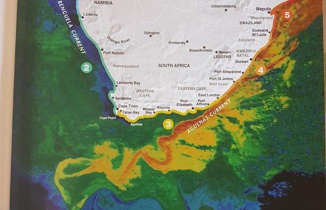 South Point - Foto 73