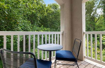 Landing Amazing 1BD Tennis Court Clubhouse - Foto 39