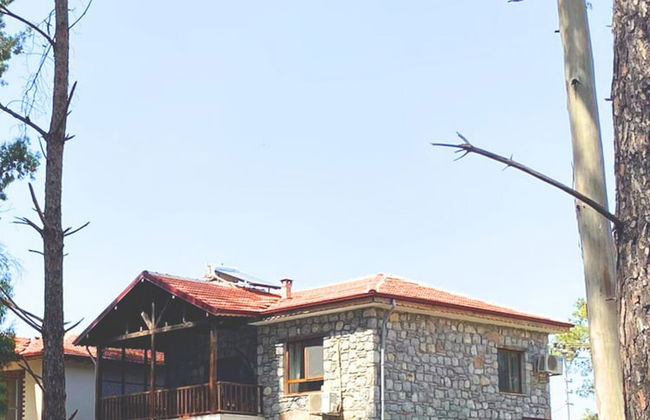 Taskiran Villa Hisaronu - Photo 35