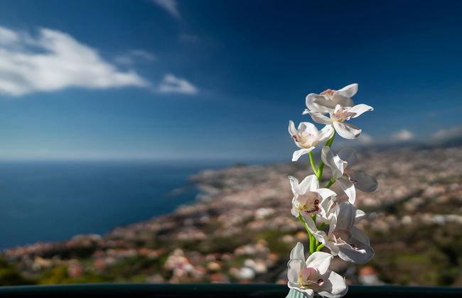 Atlantic Ocean Apartment - Foto 18