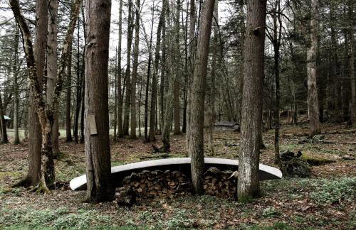 Rustic Cabin Retreat on the Ten Mile River in Narrowsburg, New York - Foto 36