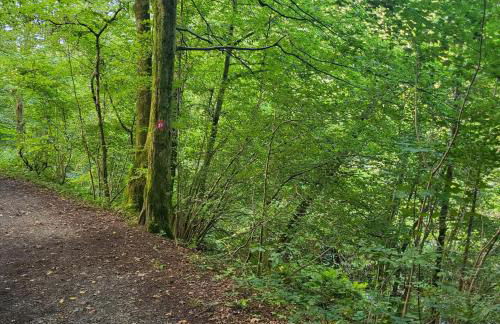 Bielsteiner Heideglück - Foto 10