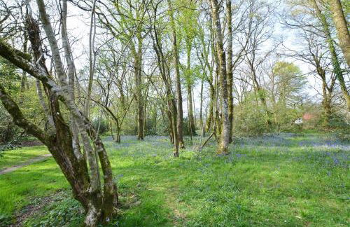 2 Bed in Whitland oc-pw324 - Foto 14