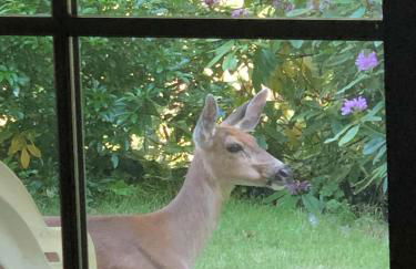 Serene King Suite Retreat on Quiet Mercer Island - Foto 13